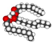 https://commons.wikimedia.org/wiki/File:Trimyristin-3D-vdW.png