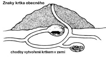 Zdroj obr. učebnice D. Kvasničková