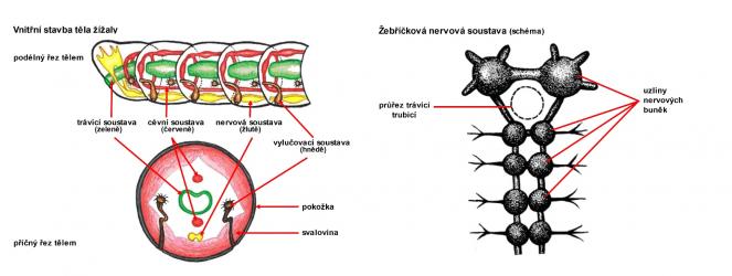 VK - kompilace z volných zdrojů