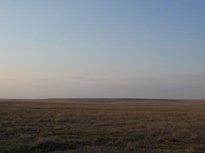 The original uploader was Carole a at English Wikipedia. / CC BY-SA (http://creativecommons.org/licenses/by-sa/3.0/)  https://commons.wikimedia.org/wiki/File:Steppe_of_western_Kazakhstan_in_the_early_spring.jpg