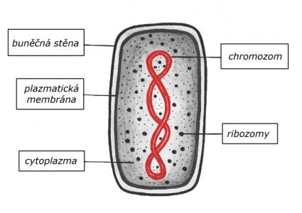 Zdroj obr. učebnice D. Kvasničková