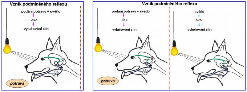 Zdroj obr. učebnice D. Kvasničková