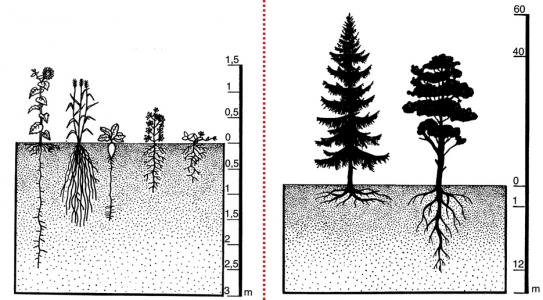 Zdroj obr. učebnice D. Kvasničková