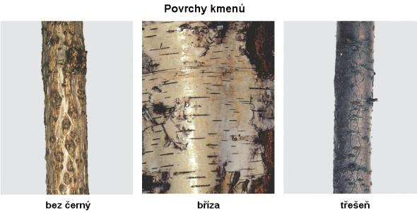 Zdroj obr. učebnice D. Kvasničková