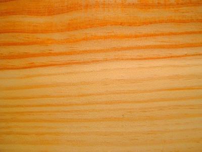 Philipp Zinger, CC BY-SA 3.0 <http://creativecommons.org/licenses/by-sa/3.0/>, via Wikimedia Commons; https://upload.wikimedia.org/wikipedia/commons/1/1d/Kiefer.JPG