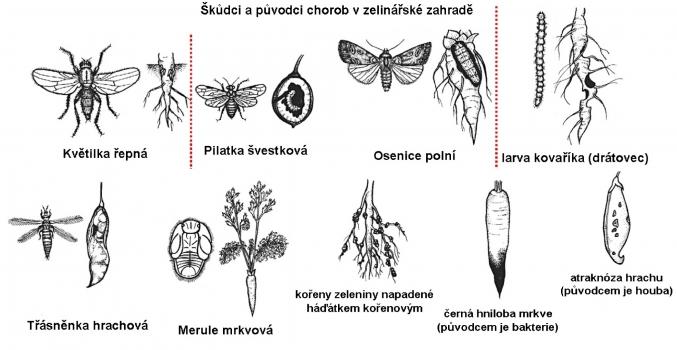 Zdroj obr. učebnice D. Kvasničková