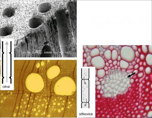 VK - kompilace z volných zdrojů