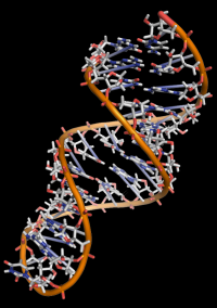 https://cs.wikipedia.org/wiki/DNA