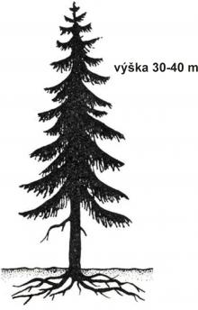 Zdroj obr. učebnice D. Kvasničková