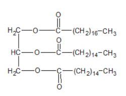 triacylglycerol