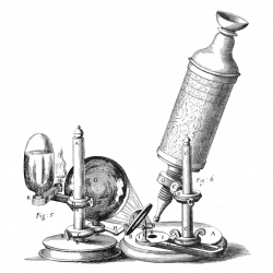 https://commons.wikimedia.org/wiki/File:Hooke-microscope.png  Robert Hooke / Public domain