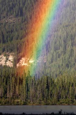 Autor: Wing-Chi Poon – self-made; at Jasper National Park, Alberta, Canada (along Yellowhead Highway 16 between intersection to Malign Valley Road and intersection to Snaring River Campground, overlooking Colin Range in the south)., CC BY-SA 2.5, https://commons.wikimedia.org/w/index.php?curid=405080