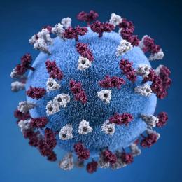 Public domain CC0 image;  https://www.rawpixel.com/image/2288308/free-photo-image-creative-commons-measles-medical