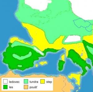 upraveno podle https://commons.wikimedia.org/wiki/Category:Ice_age_maps#/media/File:J%C3%A4%C3%A4kausi_kasvillisuus_euroopassa.jpg