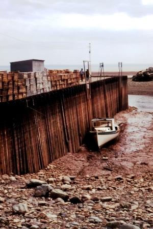 https://commons.wikimedia.org/wiki/File:Bay_of_Fundy_Low_Tide.jpg  © Samuel Wantman / Wikimedia Commons / CC BY-SA 3.0 & GFDL