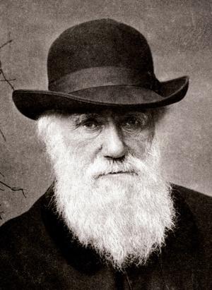 Zdroj: https://commons.wikimedia.org/wiki/File:Charles_Darwin_1880.jpg  Elliott &amp; Fry / Public domain