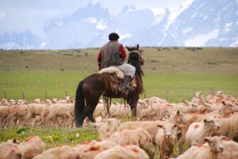 Autor: Vera & Jean-Christophe from Europe – Gaucho in action, CC BY-SA 2.0, https://commons.wikimedia.org/w/index.php?curid=7359611