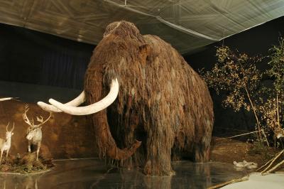 https://commons.wikimedia.org/wiki/File:Lovci_mamutu_mammoth.jpg  che (Please credit as "Petr Novák, Wikipedia" in case you use this outside Wikimedia projects.)guidance: Danny B. / CC BY-SA (https://creativecommons.org/licenses/by-sa/2.5)t as 