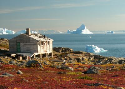 https://en.wikipedia.org/wiki/Tundra#/media/File:Greenland_scoresby-sydkapp2_hg.jpg