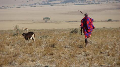 https://upload.wikimedia.org/wikipedia/commons/3/31/Maasai_man%2C_Eastern_Serengeti%2C_October_2006.jpg