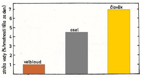 podle P. Vlasák, 1986: Ekologie savců   