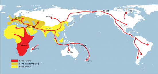 https://commons.wikimedia.org/wiki/File:Spreading_homo_sapiens_la.svg