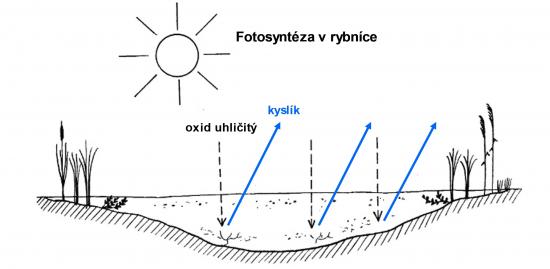 Zdroj obr. učebnice D. Kvasničková