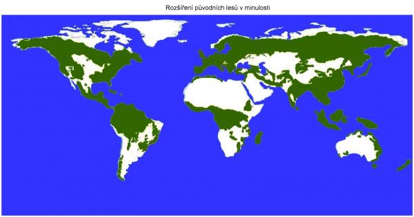 Zdroj údajů: forests world resources institute  - překresleno