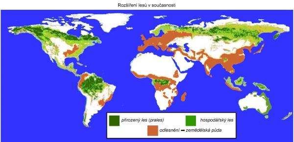 Zdroj údajů: forests world resources institute - překresleno