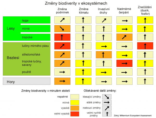 Zdroj: Millennium Ecosystem Assessment 