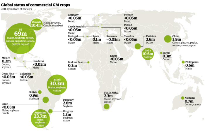 Zdroj: http://eatdrinkbetter.com/2012/02/18/global-map-of-genetically-modified-crops/