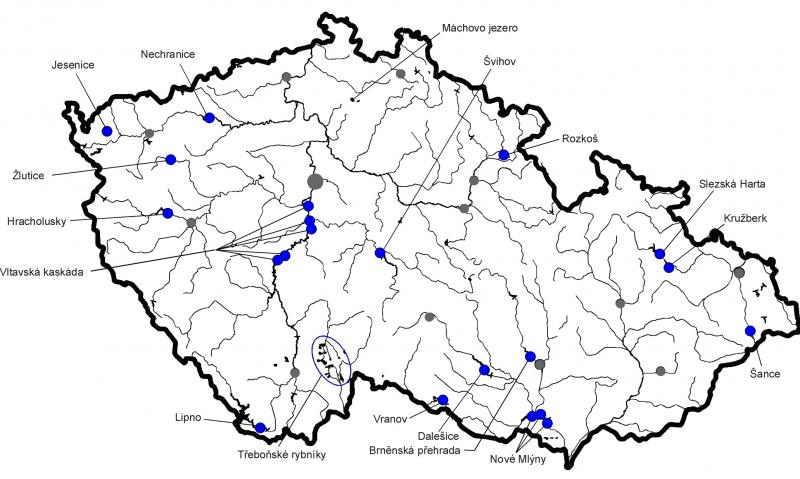 VK - podle různých zdrojů